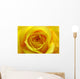 Yellow Rose Wall Mural