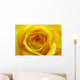 Yellow Rose Wall Mural