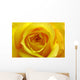 Yellow Rose Wall Mural