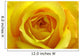 Yellow Rose Wall Mural