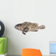 Fresh Grouper Fish White Wall Decal