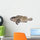 Fresh Grouper Fish White Wall Decal