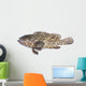 Fresh Grouper Fish White Wall Decal