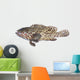 Fresh Grouper Fish White Wall Decal