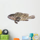 Fresh Grouper Fish White Wall Decal