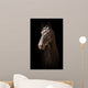 Portrait Black Horse Black