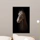 Portrait Black Horse Black