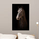 Portrait Black Horse Black