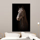 Portrait Black Horse Black