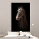 Portrait Black Horse Black