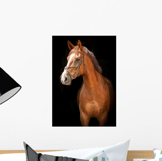 Portrait Red Horse Black