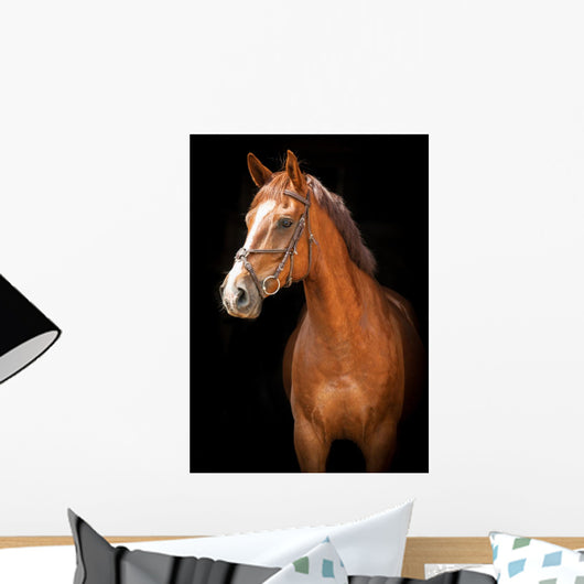 Portrait Red Horse Black