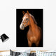 Portrait Red Horse Black