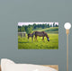 Horses at horse farm. Country landscape. Wall Mural