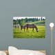 Horses at horse farm. Country landscape. Wall Mural