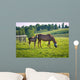 Horses at horse farm. Country landscape. Wall Mural