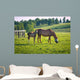 Horses at horse farm. Country landscape. Wall Mural
