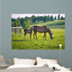 Horses at horse farm. Country landscape. Wall Mural