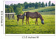 Horses at horse farm. Country landscape. Wall Mural