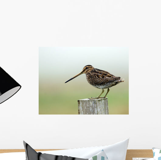 Snipe Wall Mural