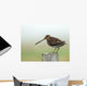 Snipe Wall Mural