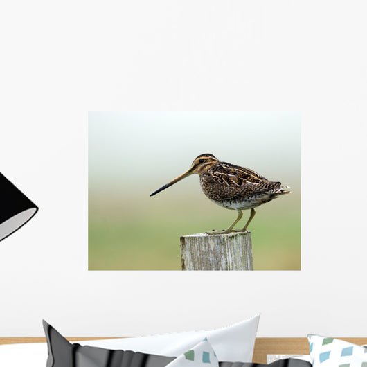 Snipe Wall Mural
