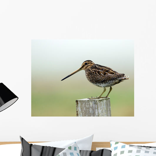 Snipe Wall Mural