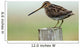 Snipe Wall Mural
