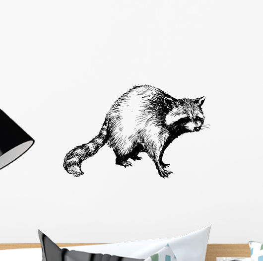 hand drawn raccoon Wall Decal