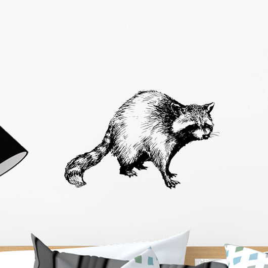 hand drawn raccoon Wall Decal