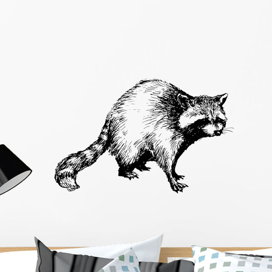 hand drawn raccoon Wall Decal