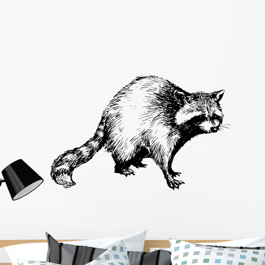 hand drawn raccoon Wall Decal