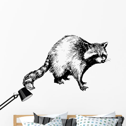 hand drawn raccoon Wall Decal