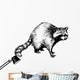 hand drawn raccoon Wall Decal