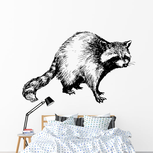 hand drawn raccoon Wall Decal