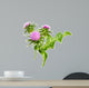 Milk Thistle