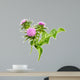 Milk Thistle