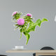 Milk Thistle