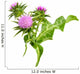 Milk Thistle