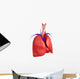 Male lungs anatomy Wall Decal