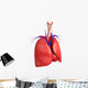 Male lungs anatomy Wall Decal