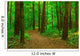 Walking Path Summer Park