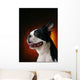 Boston Terrier Wall Mural