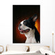 Boston Terrier Wall Mural
