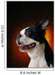 Boston Terrier Wall Mural