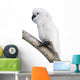 Cockatoo Perching Branch