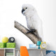 Cockatoo Perching Branch