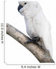 Cockatoo Perching Branch