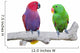 Two Cockatoo Birds Wall Decal