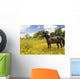 Horse Pasture Wildflowers Wall Decal